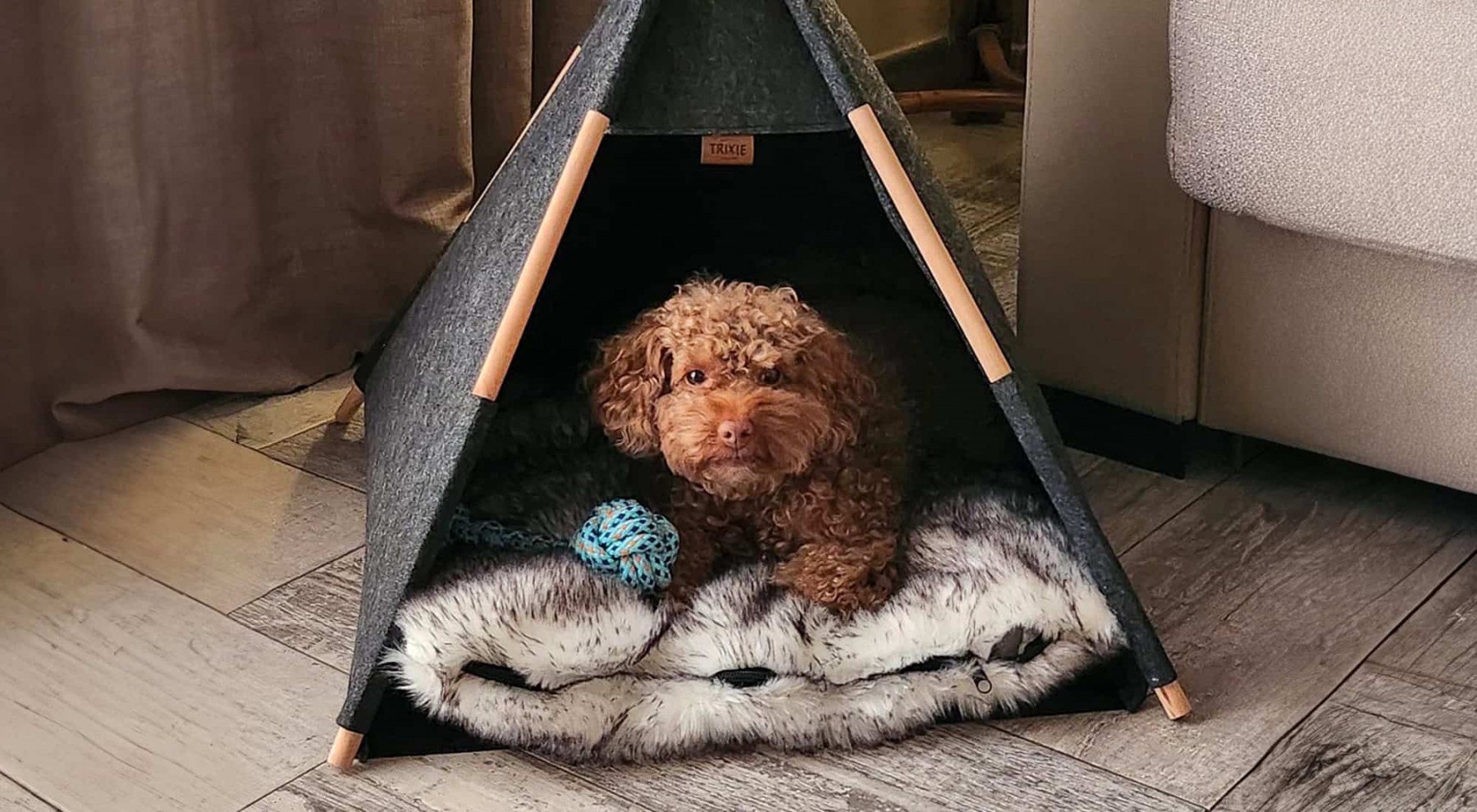 Green Garden Eco Resort