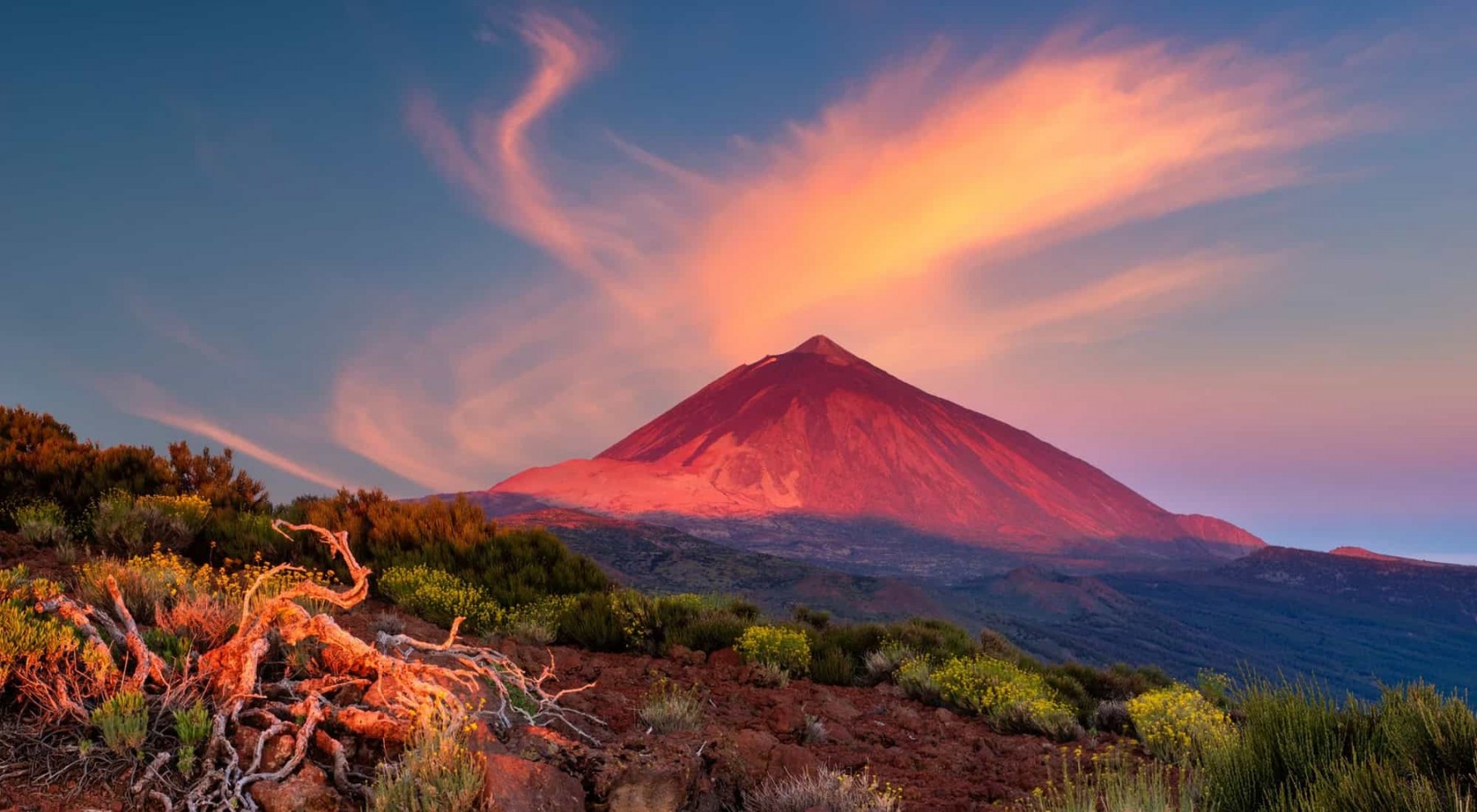 Sustainability Sustainability