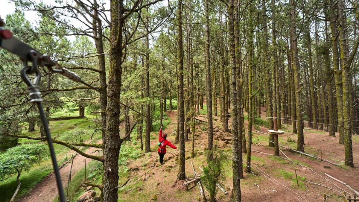 Forestal Park Forestal Park